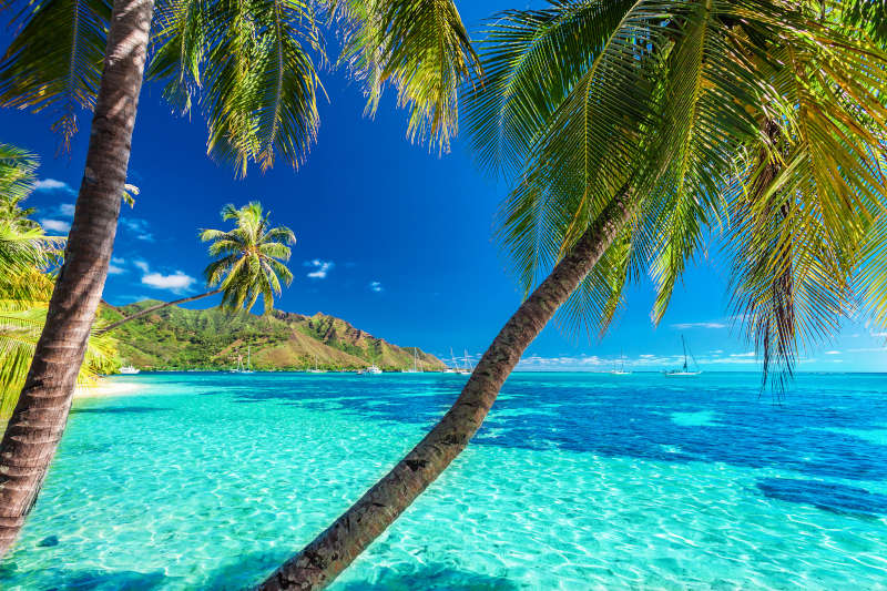 Yacht Charter in French Polynesia: Exploring Paradise on the High Seas