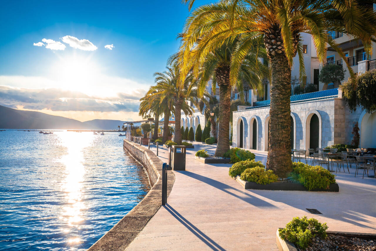 Tivat